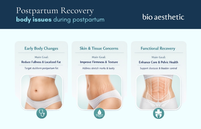 postpartum recovery roadmap